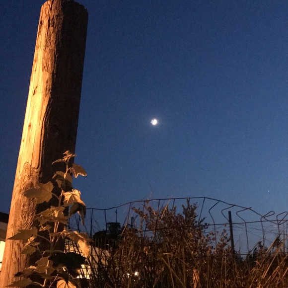 Meet your Posher, Angela 🦋🌊🦋🌊🦋🌊🦋 - Picture 4 of 16